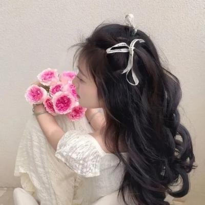 惊天日记 海报